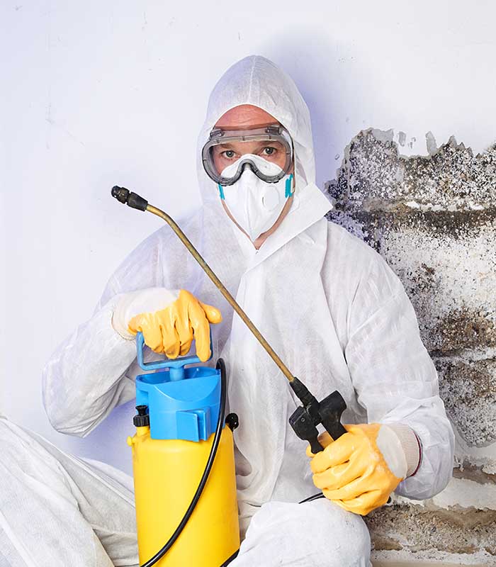 mold remediation worker